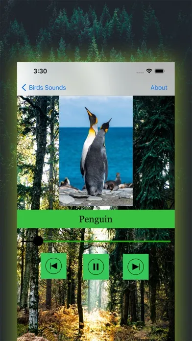 100 Bird Sounds应用截图