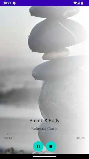 Tangkapan skrin Mindfulness Meditation