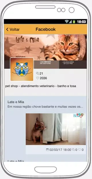 Late e Mia Pet Shop Screenshots