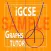 iGCSE Graphs Sample (Edexcel and CIE/Cambridge syllabuses)