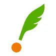 IDIY - Essay Writing Lessons