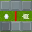 The Turtle's Challenge The Turtle's Challenge