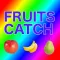 FRUITS_CATCH