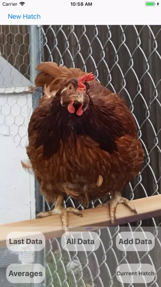 Ảnh chụp màn hình của Hatching Eggs