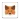 MetaMask