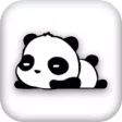 Panda Codebook Record Helper