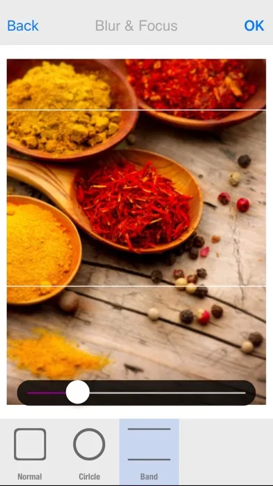 Tangkapan skrin Food Picture Camera PRO