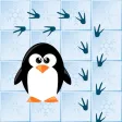Stray Penguin Stray Penguin