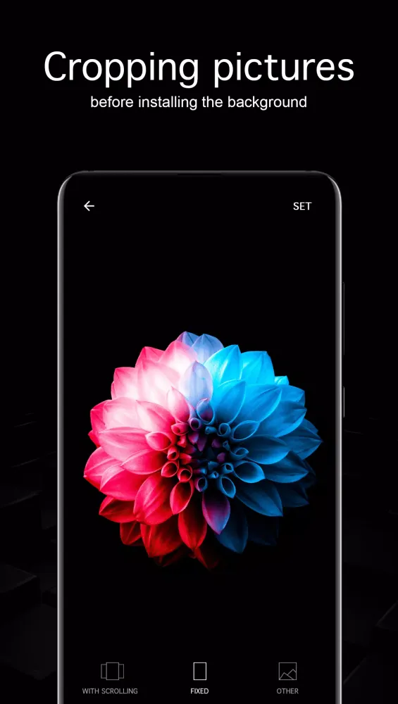 Black Wallpapers 4K (Dark)应用截图