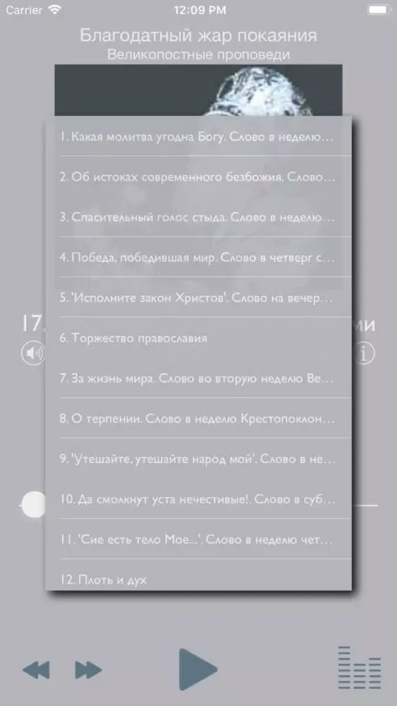 Благодатный жар покаяния應用截圖
