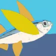 Fly Fishy Fly Fly Fishy Fly