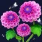 Flower Triple