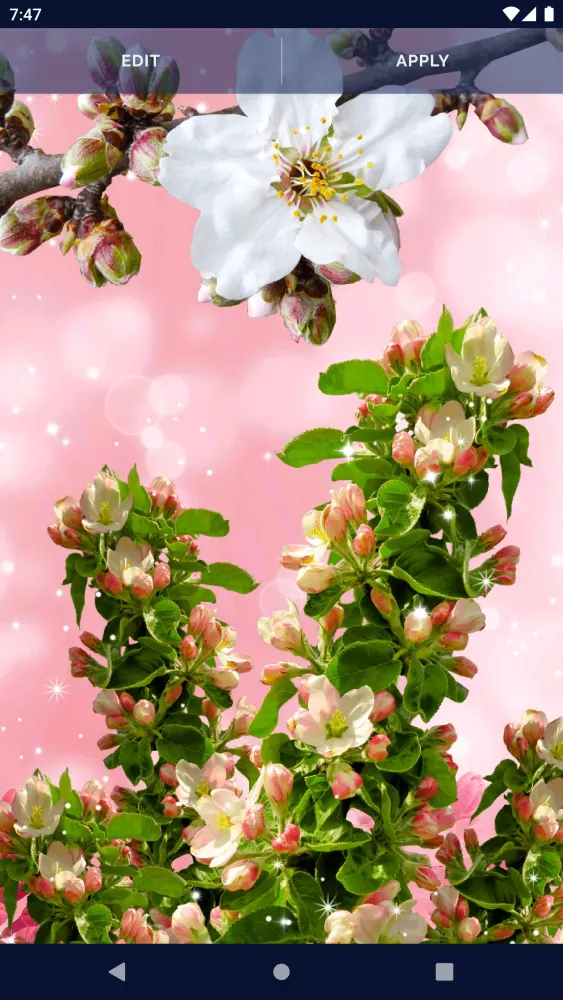 Flower Blossom Live Wallpaper স্ক্রিনশট