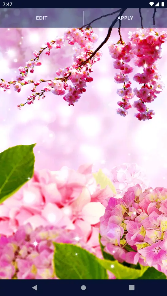 Flower Blossom Live Wallpaper স্ক্রিনশট