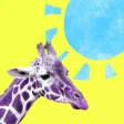Wonder Animal Tower Wonder Animal Tower