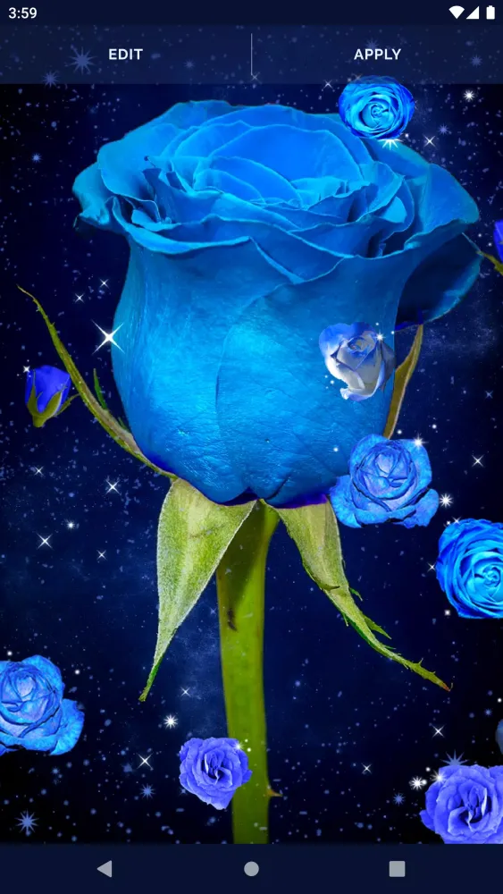 Ảnh chụp màn hình của Blue Rose Live Wallpaper 3D