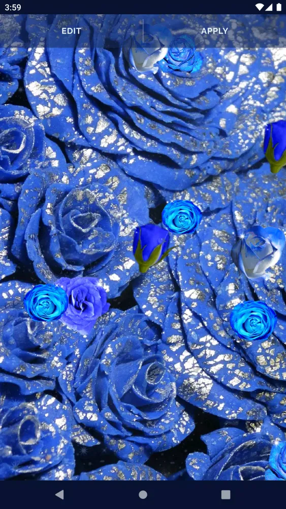 Ảnh chụp màn hình của Blue Rose Live Wallpaper 3D