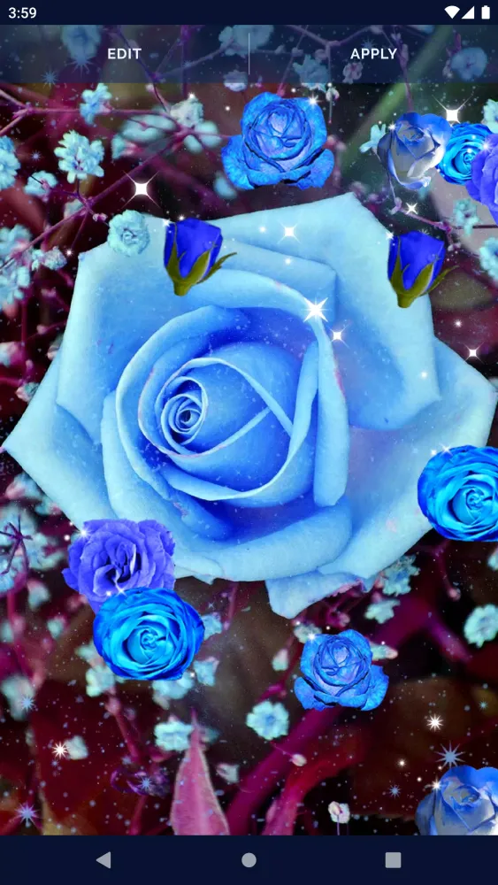 Ảnh chụp màn hình của Blue Rose Live Wallpaper 3D
