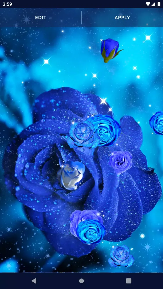 Ảnh chụp màn hình của Blue Rose Live Wallpaper 3D