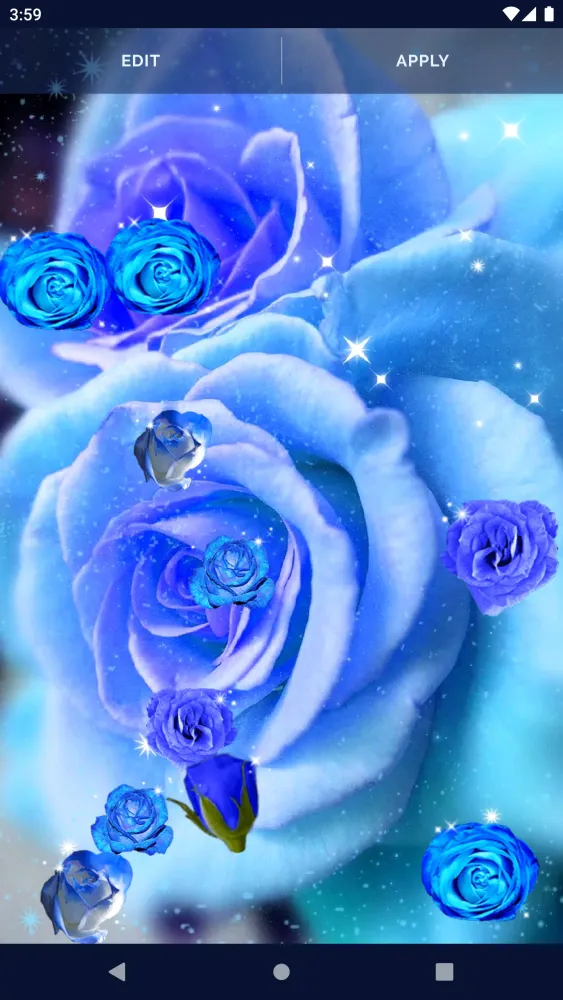 Ảnh chụp màn hình của Blue Rose Live Wallpaper 3D