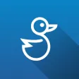 Blue Duck