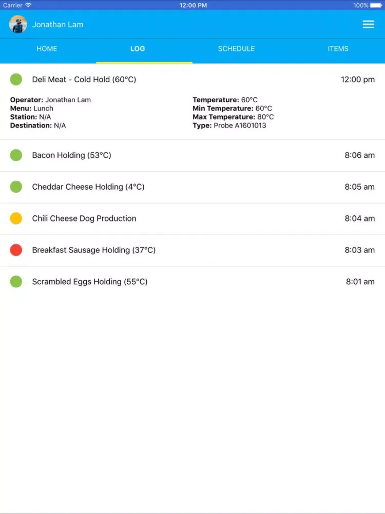 Скриншоты SafeCheck iPad 