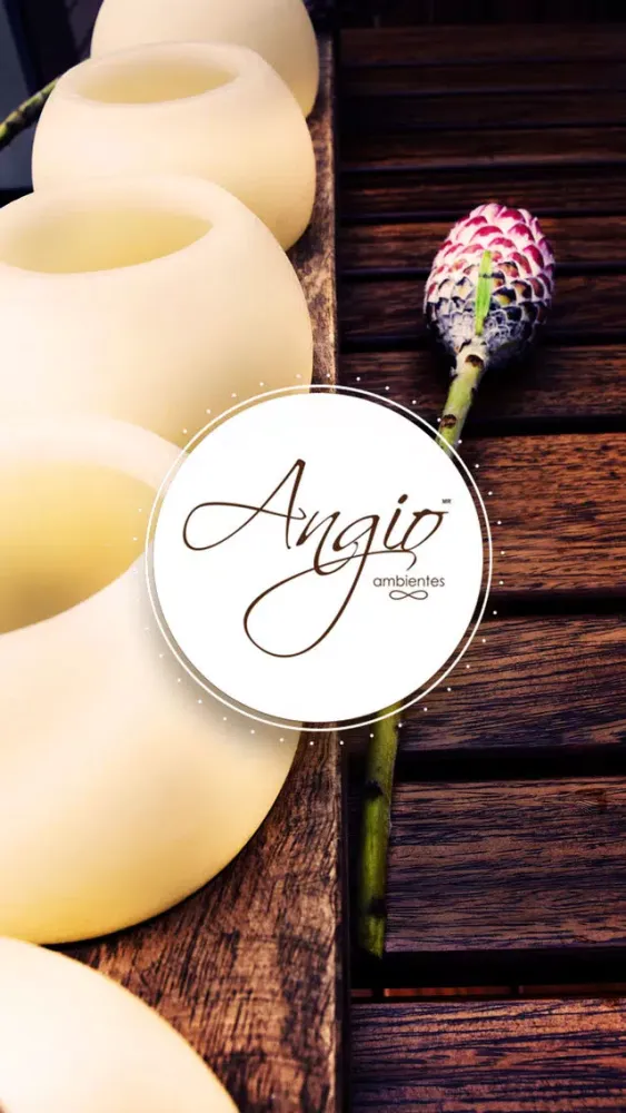 Angio Screenshots