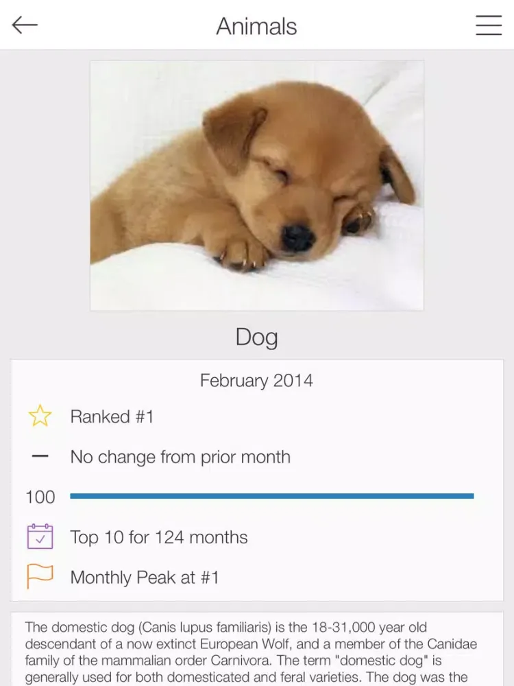 ภาพหน้าจอของ Monthly Search Trends iPad 