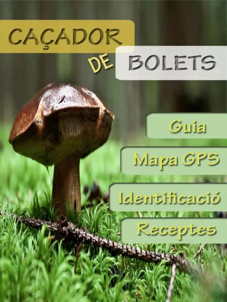 Tangkapan skrin Caçador de bolets iPad 