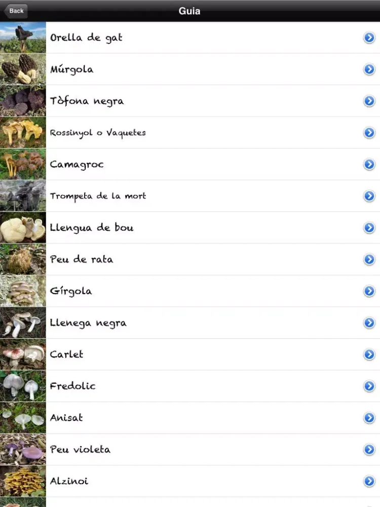 Tangkapan skrin Caçador de bolets iPad 