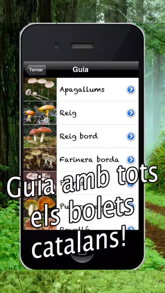 Tangkapan skrin Caçador de bolets