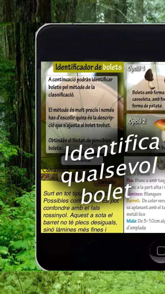 Tangkapan skrin Caçador de bolets