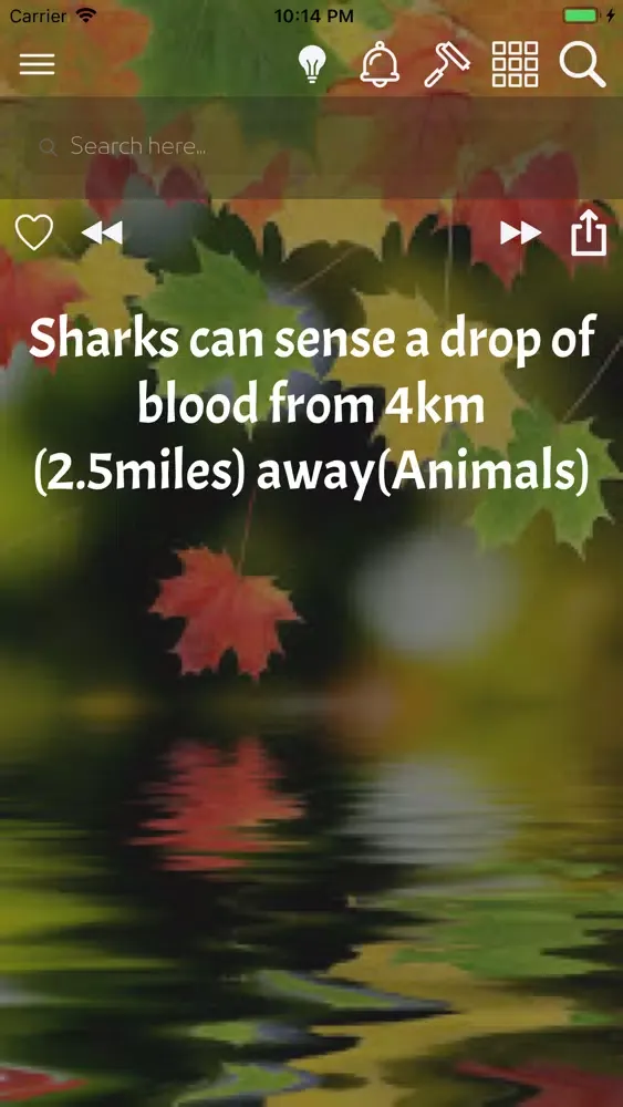 WowFacts Learn Daily Facts App スクリーンショット