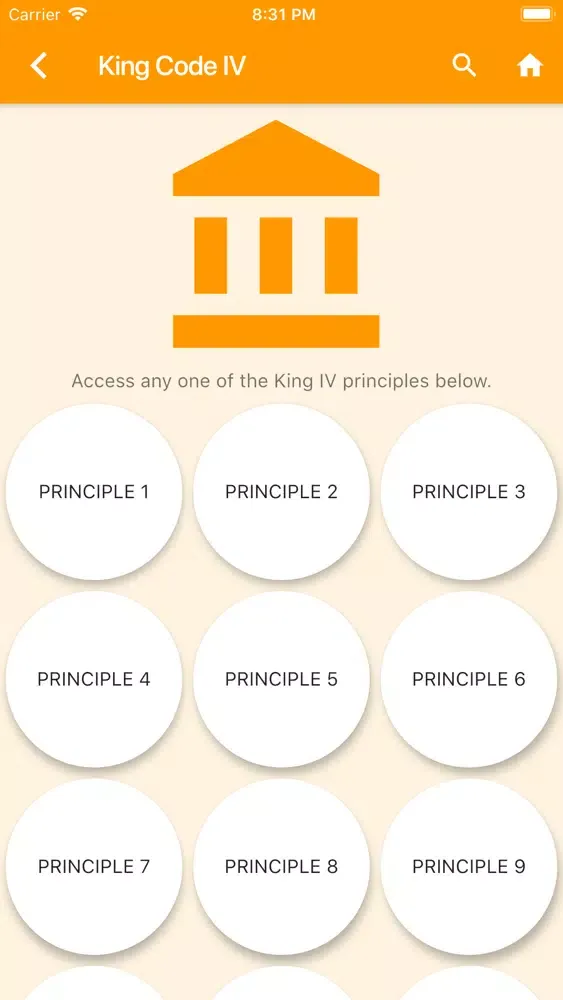 Ảnh chụp màn hình của BizProf Governance