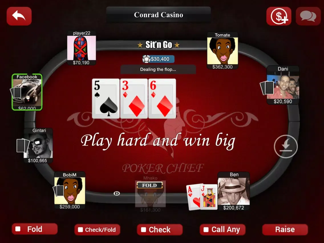 Poker Chief iPad 应用截图