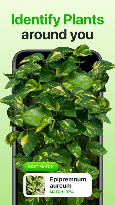 تصاویر Plant Identifier & Care App