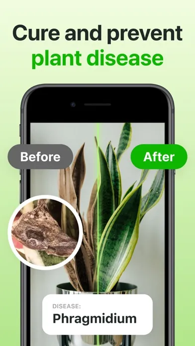 تصاویر Plant Identifier & Care App