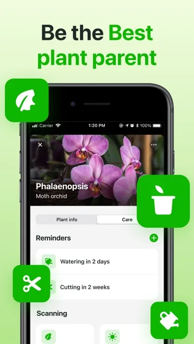 تصاویر Plant Identifier & Care App