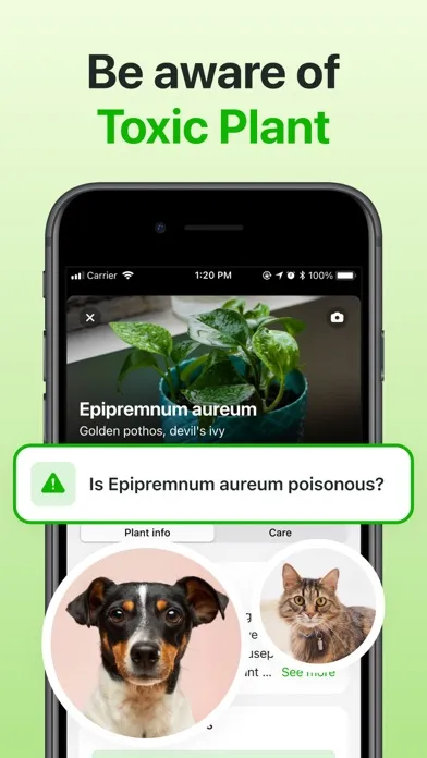 تصاویر Plant Identifier & Care App