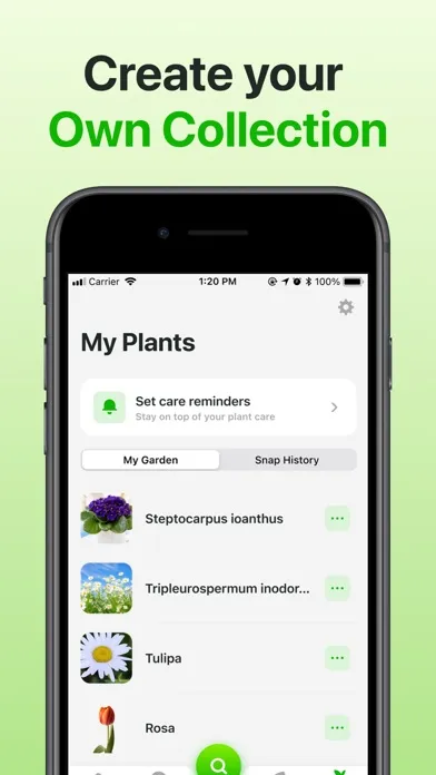 تصاویر Plant Identifier & Care App