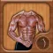 Man Body Builder Photo Montage