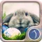 Easter Wallpaper: HD Wallpapers