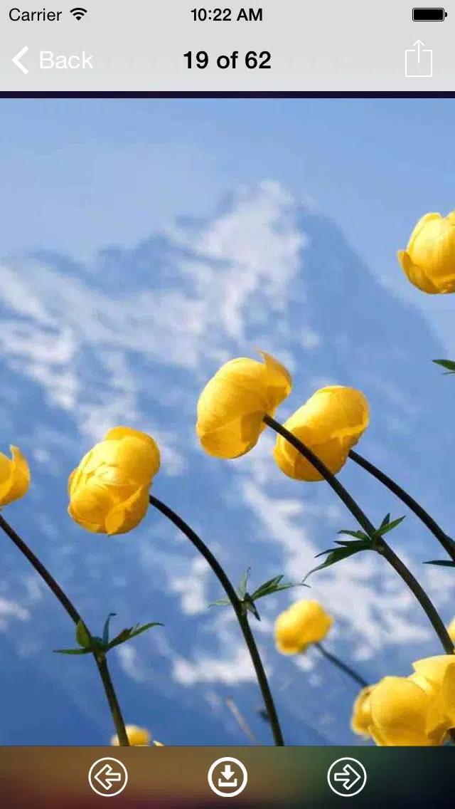 Capturas de pantalla de Flowers Wallpaper: Best HD Wallpapers