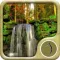 Forest Wallpaper: Best HD Wallpapers