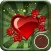 Rose Wallpaper: Best HD Wallpapers