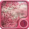 Sakura Wallpaper: Best HD Wallpapers
