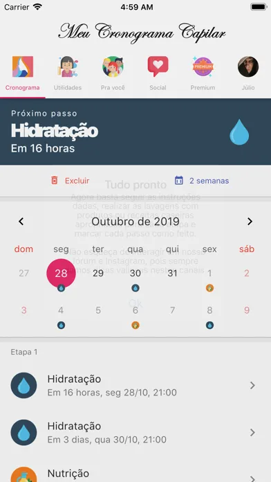 Tangkapan skrin Meu Cronograma Capilar