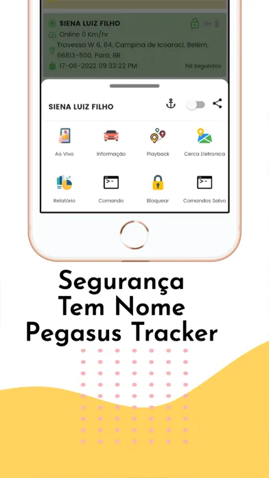 ภาพหน้าจอของ Pegasus Tracker