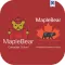 Maple Bear App