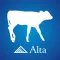 Alta Colostrum Calculator